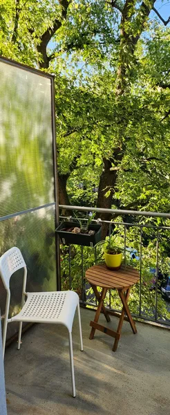 Schöne möblierte 2 Zimmer Wohnung mit Stuckdecken und Balkon in Tiergarten Moabit — photo 1